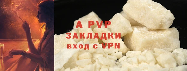 ГАЛЛЮЦИНОГЕННЫЕ ГРИБЫ Новозыбков