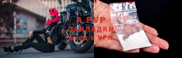 ГАЛЛЮЦИНОГЕННЫЕ ГРИБЫ Новозыбков