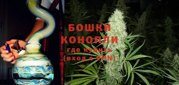 ГАЛЛЮЦИНОГЕННЫЕ ГРИБЫ Новозыбков