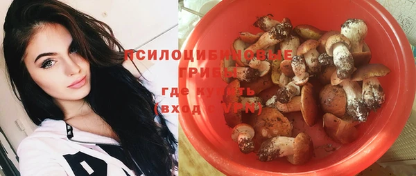 дживик Карталы