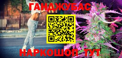 спиды Волгодонск
