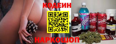 сатива Гай