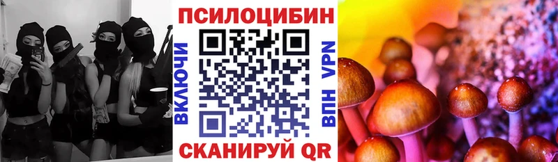 Псилоцибиновые грибы мицелий  закладки  Александров 