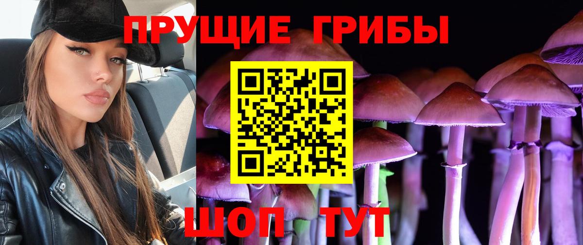 Галлюциногенные грибы мицелий Александров