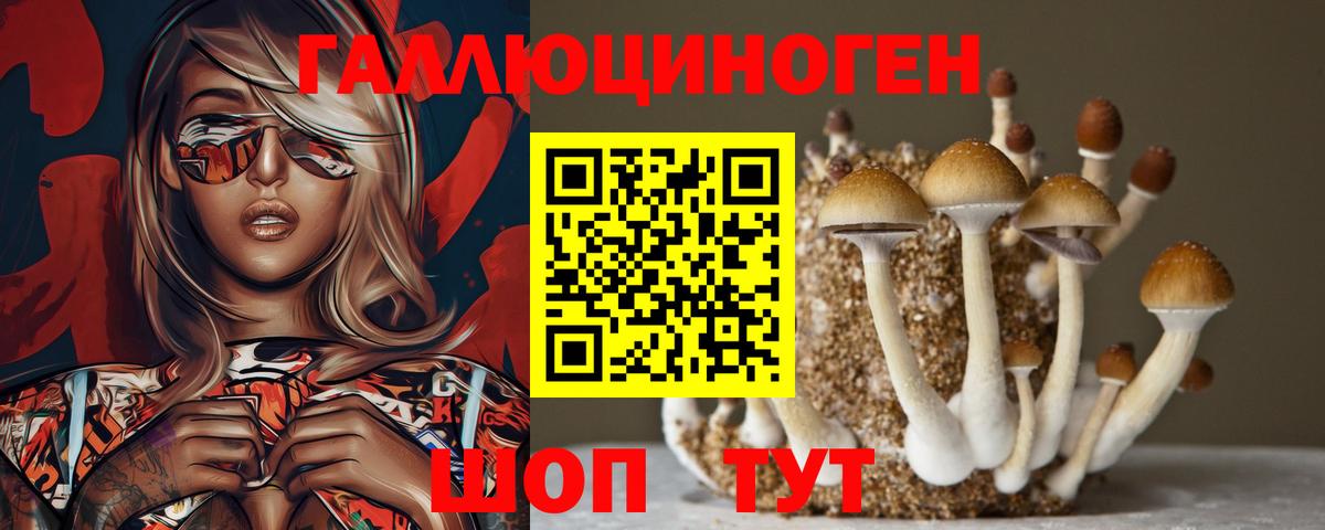 Псилоцибиновые грибы GOLDEN TEACHER  Вход с VPN  купить наркотики сайты  Александров 