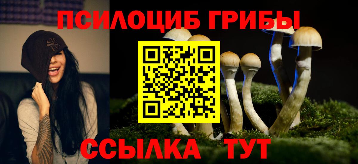 Галлюциногенные грибы Cubensis Александров