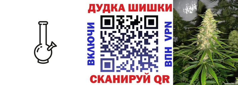 kraken ТОР  Александров  Бошки Шишки семена 