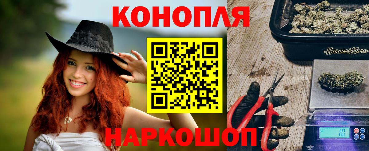 Конопля гибрид Александров